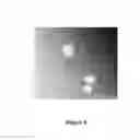 Fig. 10 - Nanoparticles comprising a vegetable hydrophobic protein and a water miscible non-volatile organic solvent and uses thereof