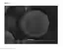 Fig. 03 - Porous resin particles, method for manufacturing the same, dispersion liquid, and use thereof