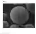 Fig. 06 - Porous resin particles, method for manufacturing the same, dispersion liquid, and use thereof