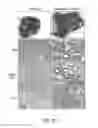 Fig. 06 - Compositions And Methods For Treating Steatohepatitis, Liver Fibrosis, and Hepatocellular Carcinoma (HCC)