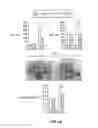 Fig. 08 - Compositions And Methods For Treating Steatohepatitis, Liver Fibrosis, and Hepatocellular Carcinoma (HCC)