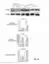 Fig. 11 - Compositions And Methods For Treating Steatohepatitis, Liver Fibrosis, and Hepatocellular Carcinoma (HCC)