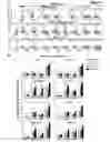 Fig. 17 - Compositions And Methods For Treating Steatohepatitis, Liver Fibrosis, and Hepatocellular Carcinoma (HCC)