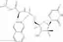 Fig. 07 - 2′, 4′-difluoro-2′-methyl substituted nucleoside derivatives as inhibitors of HCV RNA replication