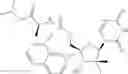Fig. 13 - 2′, 4′-difluoro-2′-methyl substituted nucleoside derivatives as inhibitors of HCV RNA replication
