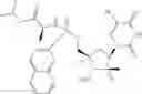 Fig. 20 - 2′, 4′-difluoro-2′-methyl substituted nucleoside derivatives as inhibitors of HCV RNA replication