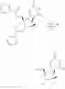 Fig. 22 - 2′, 4′-difluoro-2′-methyl substituted nucleoside derivatives as inhibitors of HCV RNA replication