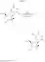 Fig. 23 - 2′, 4′-difluoro-2′-methyl substituted nucleoside derivatives as inhibitors of HCV RNA replication