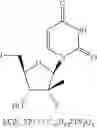 Fig. 25 - 2′, 4′-difluoro-2′-methyl substituted nucleoside derivatives as inhibitors of HCV RNA replication
