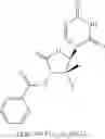 Fig. 27 - 2′, 4′-difluoro-2′-methyl substituted nucleoside derivatives as inhibitors of HCV RNA replication