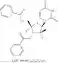 Fig. 29 - 2′, 4′-difluoro-2′-methyl substituted nucleoside derivatives as inhibitors of HCV RNA replication