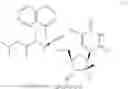 Fig. 43 - 2′, 4′-difluoro-2′-methyl substituted nucleoside derivatives as inhibitors of HCV RNA replication