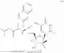 Fig. 44 - 2′, 4′-difluoro-2′-methyl substituted nucleoside derivatives as inhibitors of HCV RNA replication