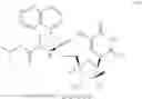 Fig. 45 - 2′, 4′-difluoro-2′-methyl substituted nucleoside derivatives as inhibitors of HCV RNA replication