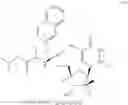 Fig. 46 - 2′, 4′-difluoro-2′-methyl substituted nucleoside derivatives as inhibitors of HCV RNA replication