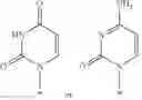 Fig. 50 - 2′, 4′-difluoro-2′-methyl substituted nucleoside derivatives as inhibitors of HCV RNA replication