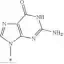 Fig. 53 - 2′, 4′-difluoro-2′-methyl substituted nucleoside derivatives as inhibitors of HCV RNA replication