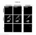 Fig. 06 - NOVEL FORMS OF PLANT DEFENSINS