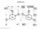 Fig. 11 - NOVEL FORMS OF PLANT DEFENSINS