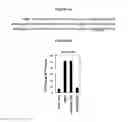 Fig. 14 - NOVEL FORMS OF PLANT DEFENSINS