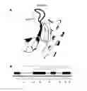 Fig. 24 - NOVEL FORMS OF PLANT DEFENSINS
