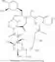 Fig. 02 - Regimen for suppressing organ rejection