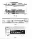 Fig. 02 - OSTEOPONTIN ISOFORM A INHIBITORS AND METHODS OF USE