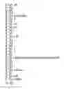 Fig. 22 - Compositions, kits, and methods for the identification, assessment, prevention, and therapy of cancer