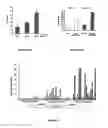 Fig. 05 - SCREENING FOR ANTI-CANCER COMPOUNDS USING NETRIN-1 ACTIVITY