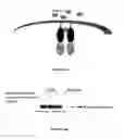 Fig. 14 - SCREENING FOR ANTI-CANCER COMPOUNDS USING NETRIN-1 ACTIVITY