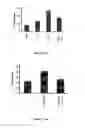 Fig. 15 - SCREENING FOR ANTI-CANCER COMPOUNDS USING NETRIN-1 ACTIVITY