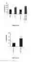 Fig. 18 - SCREENING FOR ANTI-CANCER COMPOUNDS USING NETRIN-1 ACTIVITY
