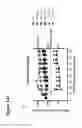 Fig. 29 - Surrogate binding proteins which bind DR4 and/or DR5