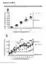 Fig. 30 - Surrogate binding proteins which bind DR4 and/or DR5