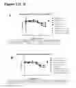 Fig. 59 - Surrogate binding proteins which bind DR4 and/or DR5