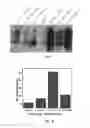 Fig. 09 - Methods of treating brain injury