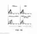 Fig. 02 - Angiogenic and Immunologic Applications of Anti-CD160 Specific Compounds Obtainable From mAb CL1-R2