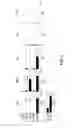 Fig. 04 - Angiogenic and Immunologic Applications of Anti-CD160 Specific Compounds Obtainable From mAb CL1-R2