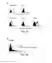 Fig. 09 - Angiogenic and Immunologic Applications of Anti-CD160 Specific Compounds Obtainable From mAb CL1-R2