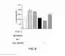 Fig. 10 - Angiogenic and Immunologic Applications of Anti-CD160 Specific Compounds Obtainable From mAb CL1-R2
