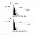 Fig. 11 - Angiogenic and Immunologic Applications of Anti-CD160 Specific Compounds Obtainable From mAb CL1-R2