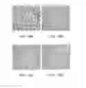 Fig. 12 - Angiogenic and Immunologic Applications of Anti-CD160 Specific Compounds Obtainable From mAb CL1-R2