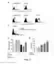Fig. 19 - Angiogenic and Immunologic Applications of Anti-CD160 Specific Compounds Obtainable From mAb CL1-R2