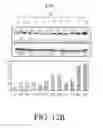 Fig. 101 - METHODS FOR TREATING HOMOZYGOUS FAMILIAL HYPERCHOLESTEROLEMIA