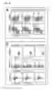 Fig. 11 - Regulatory T cells and methods of identifying, obtaining and using to treat immuno-based disorders