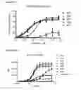 Fig. 08 - Monoclonal antibodies against CD32b