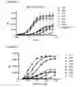 Fig. 09 - Monoclonal antibodies against CD32b