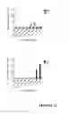 Fig. 19 - Prion disease-specific epitopes and methods of use thereof