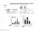 Fig. 03 - Facilitator-DNA combination vaccine