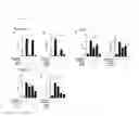 Fig. 04 - Facilitator-DNA combination vaccine